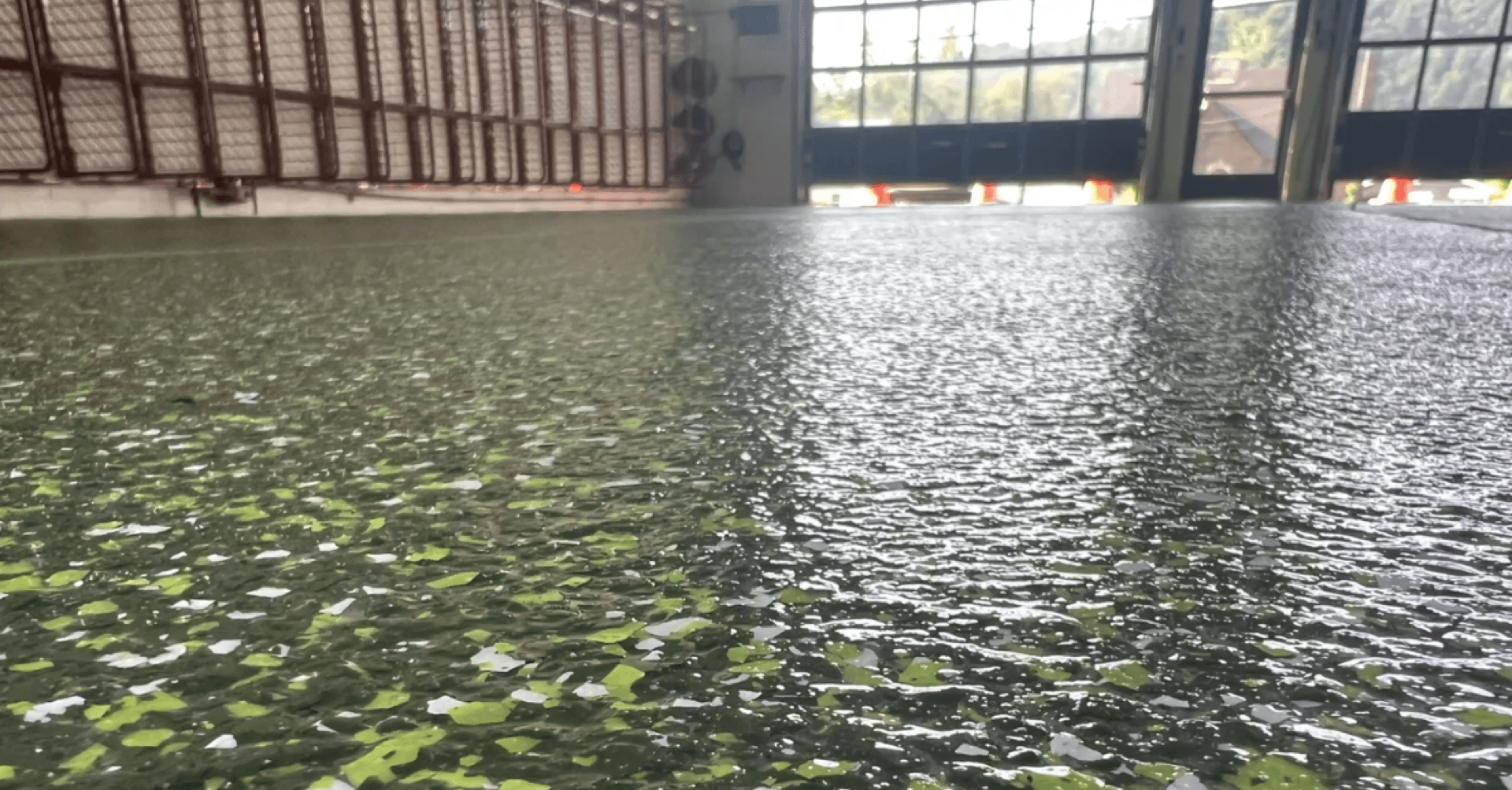 Wide green resin floor at commercial facility